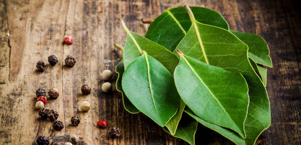 ورق غار أخضر