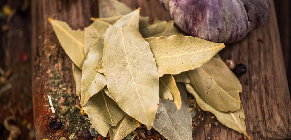 أوراق غار مجفَّفة