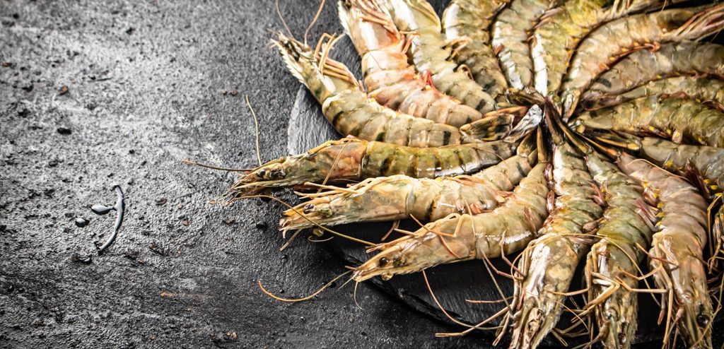 طبق من الروبيان