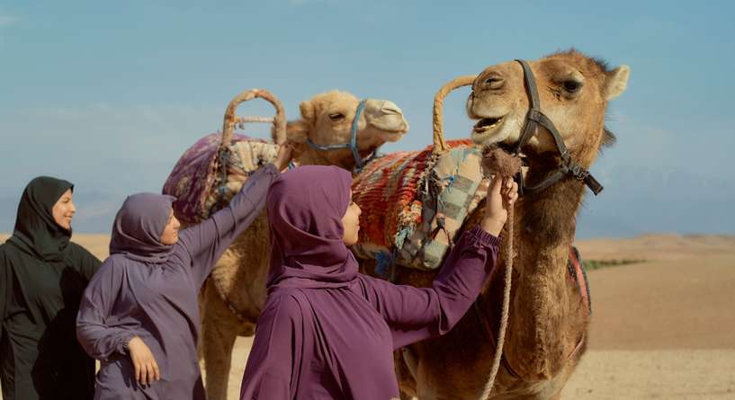 تفسير حلم الجمل يلاحقني​