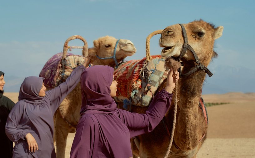 تفسير حلم الجمل يلاحقني​