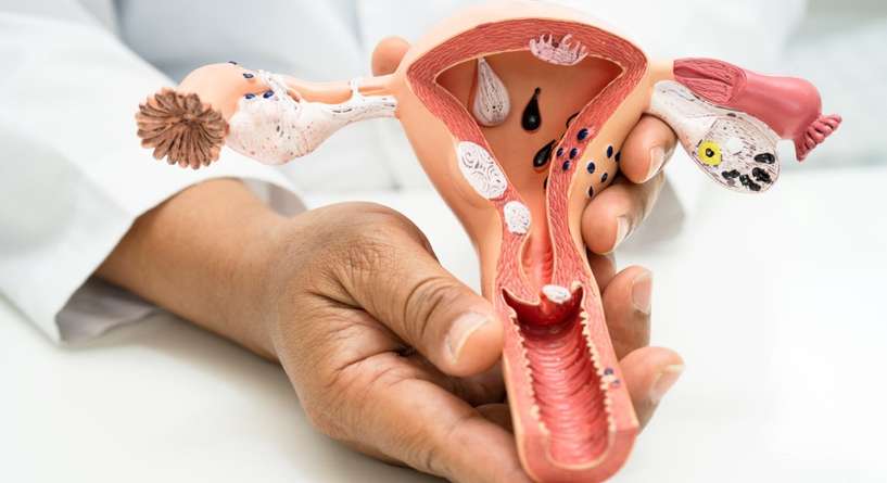 اعراض الالتهابات المهبلية