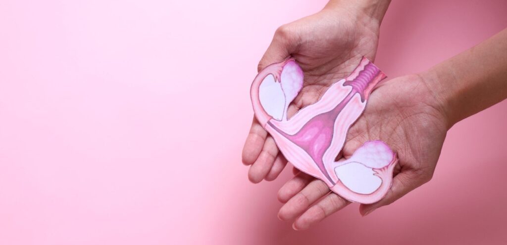 امرأة تمسك شكل الجهاز التناسلي الأنثوي