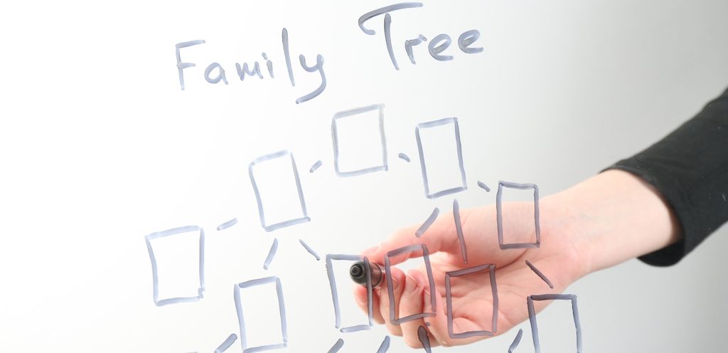 شجرة عائلة