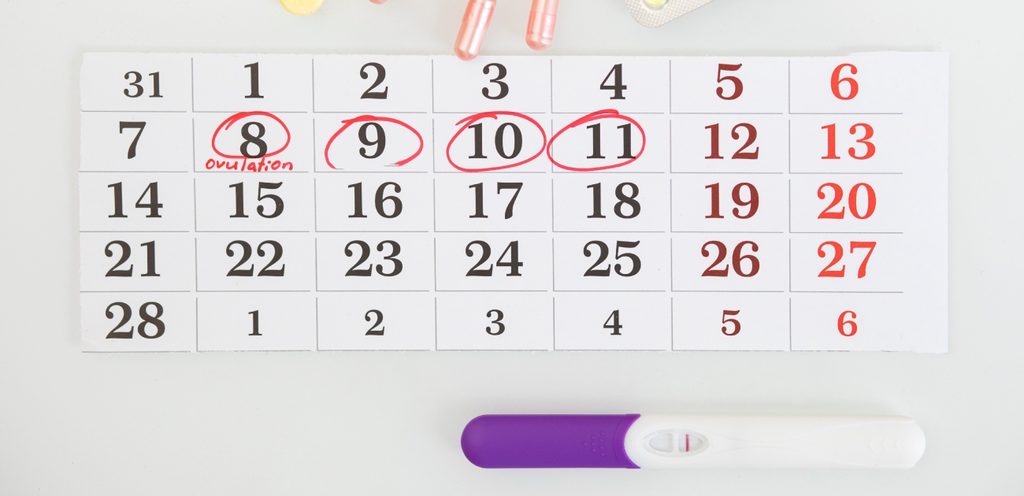 ورقة تواريخ مع اختبار حمل