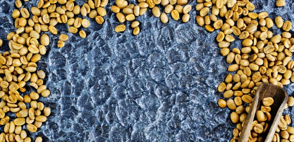 حبوب الحلبة