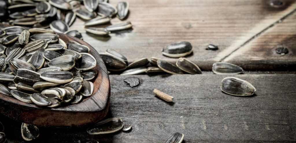 بذور دوار الشمس