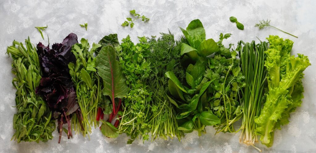 ورقيات خضراء