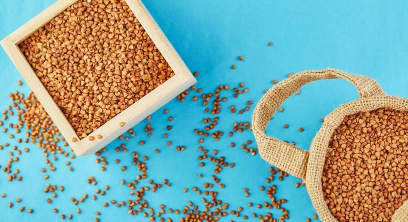 فوائد الحلبة للاطفال