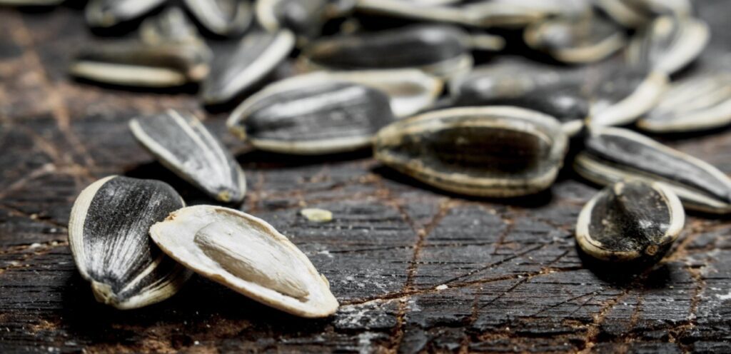 بذور دوار الشمس