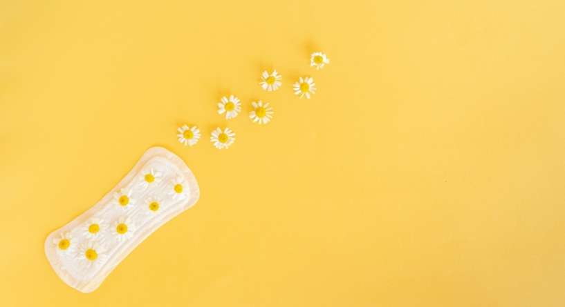 الافرازات الصفراء في الحمل