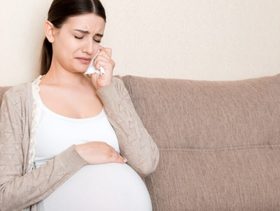 تقلبات الحمل