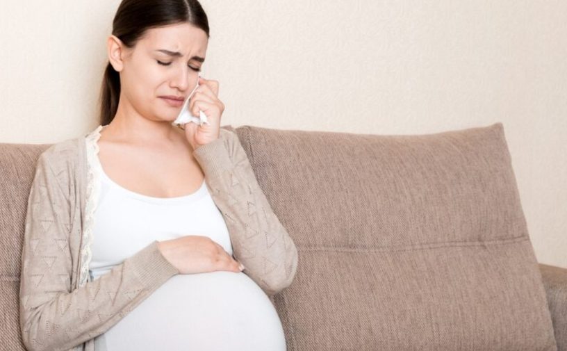 تقلبات الحمل