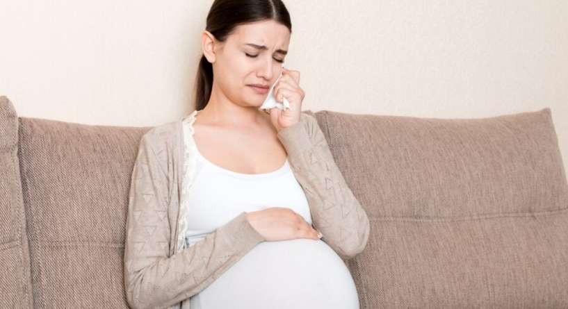 تقلبات الحمل