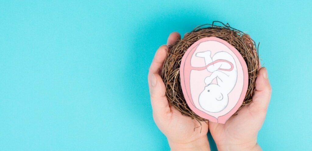 جنين في الرحم