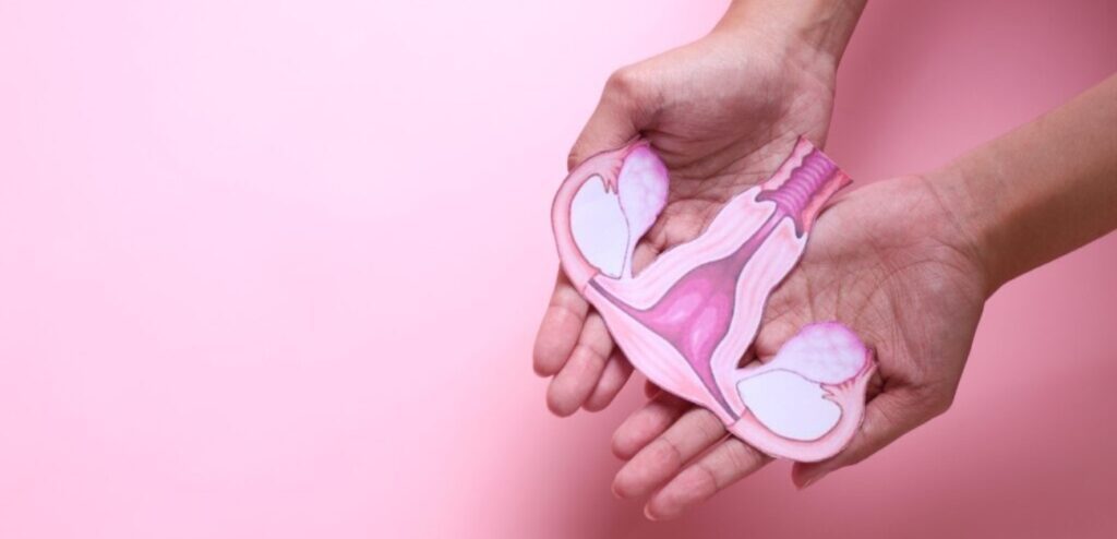امرأة تمسك شكل الجهاز التناسلي الأنثوي