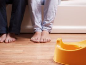 تعليم الحمام للطفل العنيد