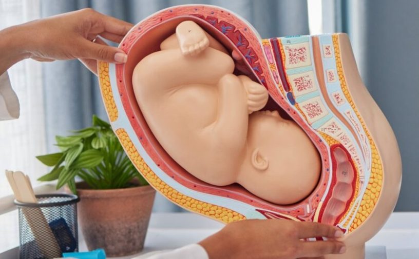 متى يظهر الجنين في كيس الحمل في اي اسبوع