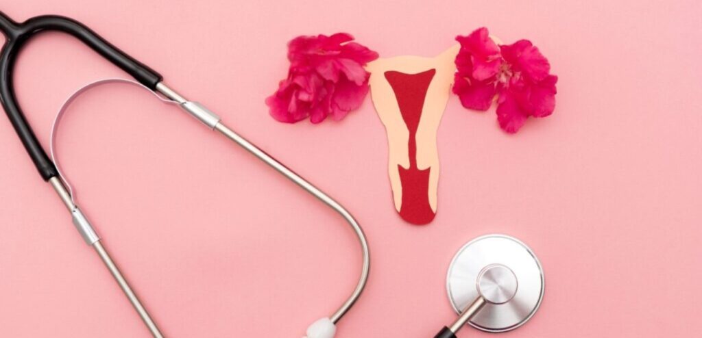 شكل الجهاز التناسلي الأنثوي