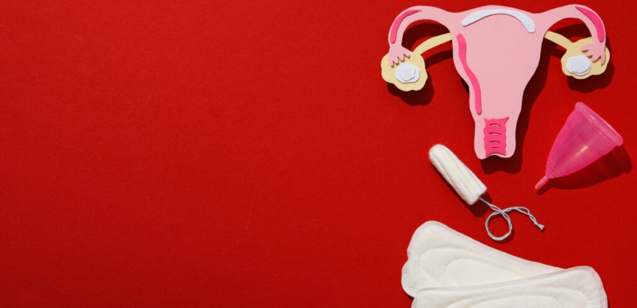 الدورة الشهرية