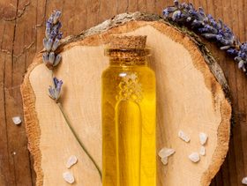 دراسة علمية تكشف سرّ تأثير اللافندر على غثيان الحمل