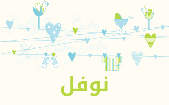 معنى اسم نوفل
