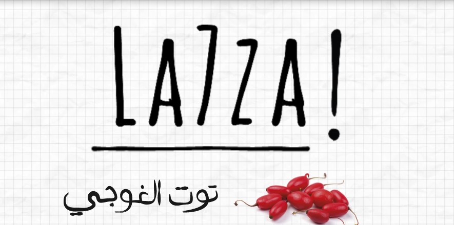 كل فوائد توت الغوجي في لحظة!