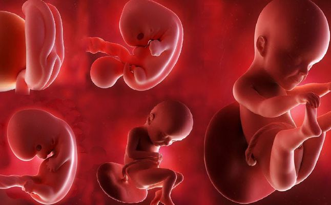 اين تذهب فضلات الجنين داخل الرحم