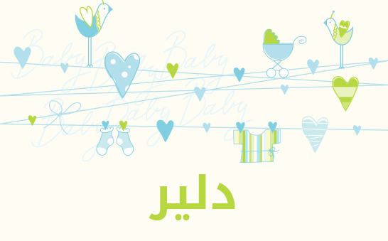معنى اسم دلير