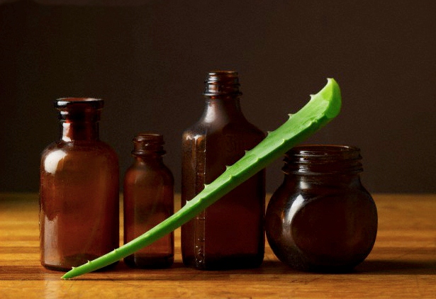Bottle, Jar, Plant
