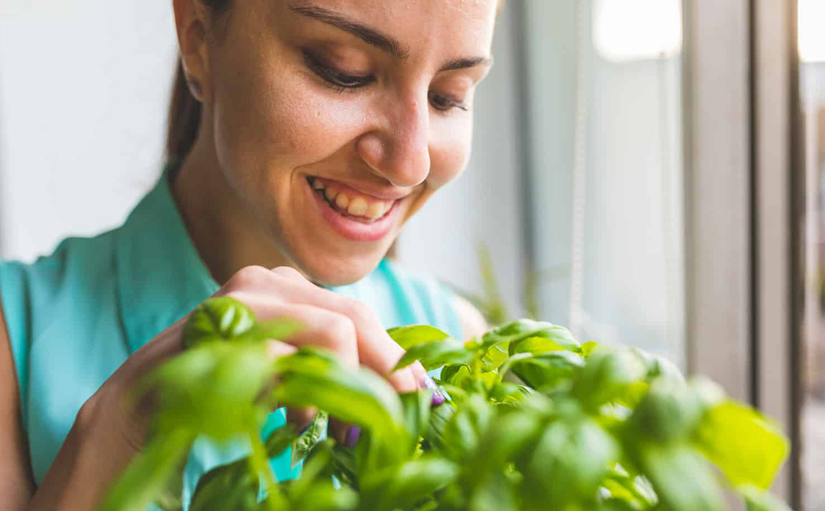 طرق آمنة للتخلص من البعوض وحماية الأطفال منها!