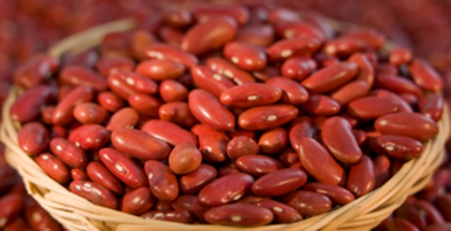 الفاصولياء – الكلية