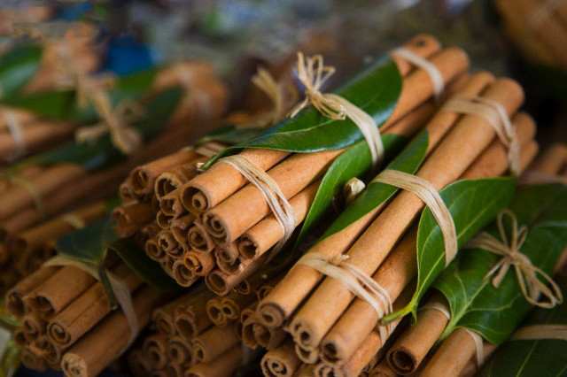 Plant, Bamboo, Bamboo Shoot