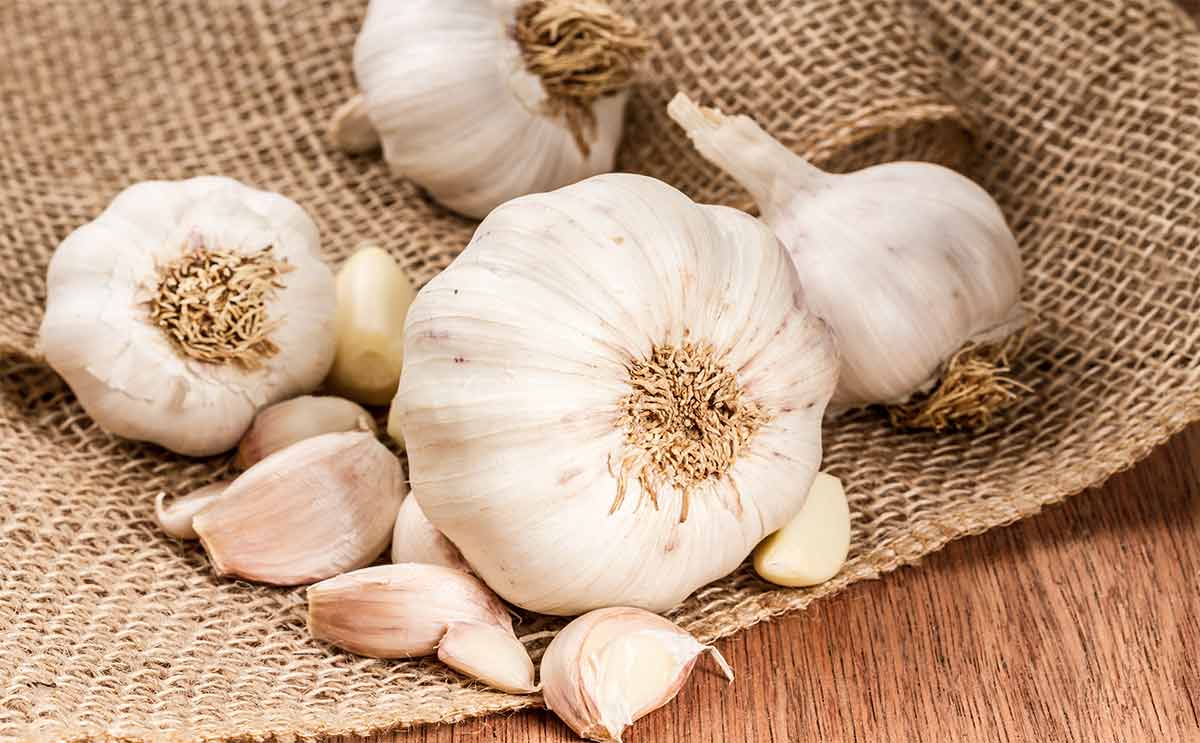 حفظ الثوم في الثلاجة