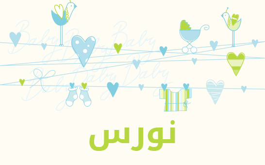 معنى اسم نورس
