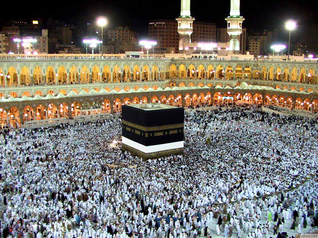 نصائح الدكتور أشرف علام للحفاظ على الصحة والسلامة خلال الأضحى