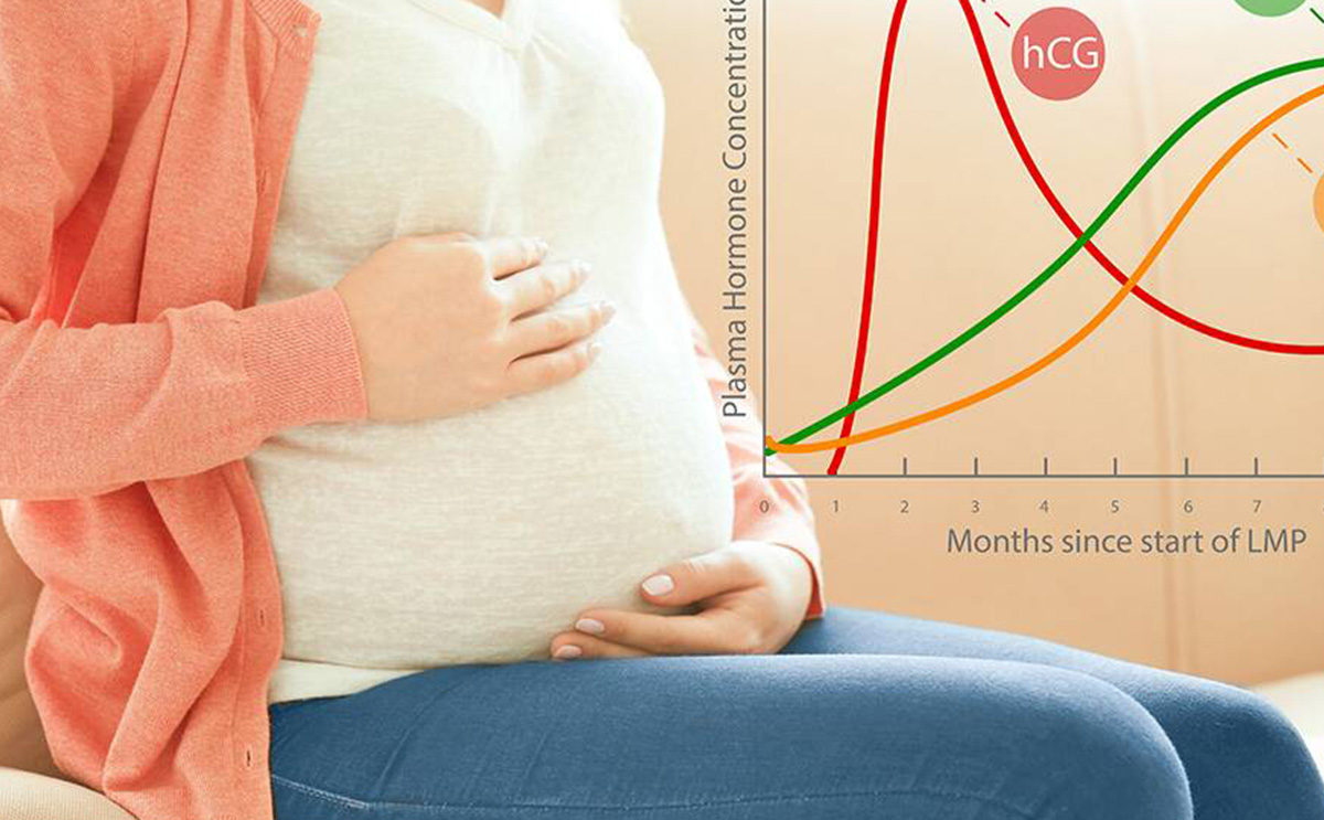 ما اسباب عدم تضاعف هرمون الحمل واعراضه وعلاجه؟