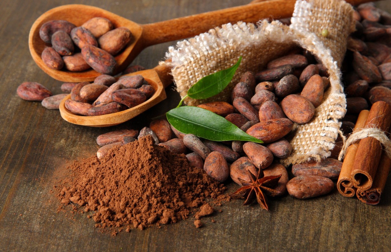 فوائد الكاكاو على الذاكرة