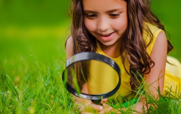 Grass, Plant, Person