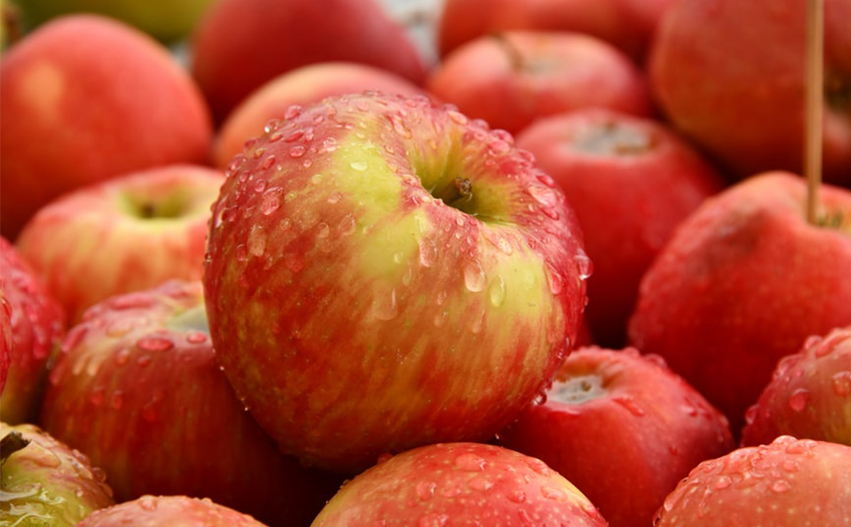 Plant, Fruit, Food