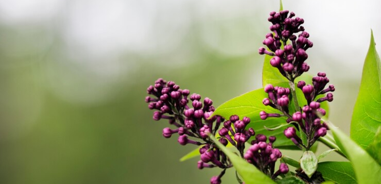 مصدر الصورة: موقع Freepik